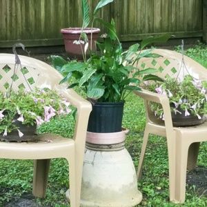 Meet your Posher, Edna